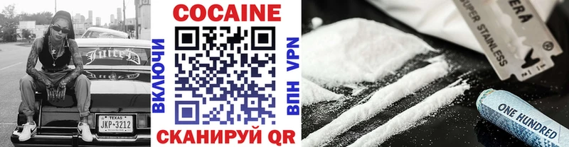 дарнет шоп  Зима  Cocaine Fish Scale 