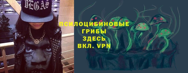 мескалин Покачи
