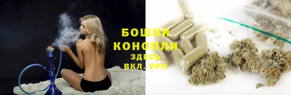 гашик Покров