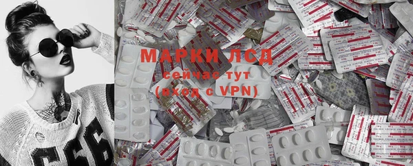 гашик Покров