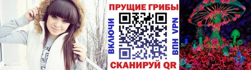 Псилоцибиновые грибы ЛСД  где найти   Зима 