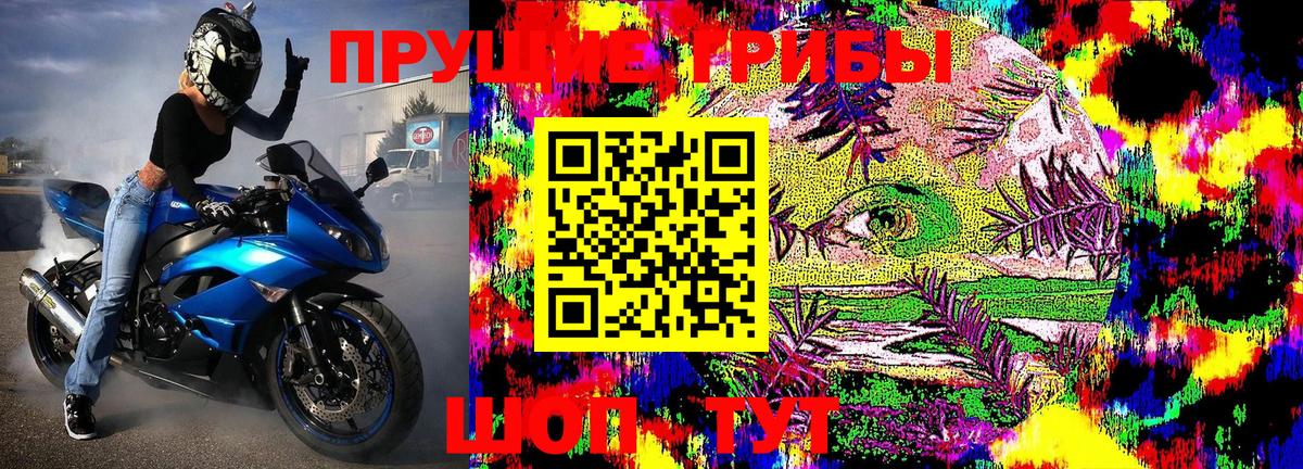 наркота  Вход с VPN  Галлюциногенные грибы Cubensis  Зима  Галлюциногенные грибы Psilocybine cubensis 